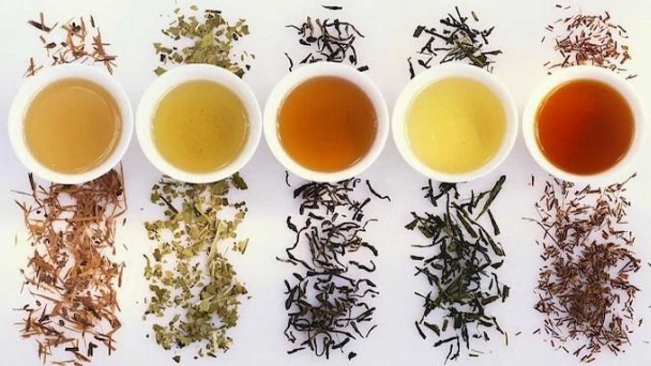 Varietà di tè e proprietà - Idee Green